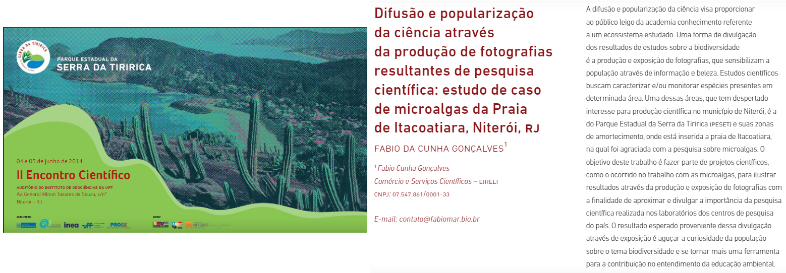 Encontro PESET 2014.png